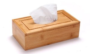 Facial napkin Papers